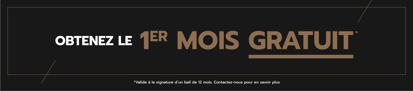 Promotion location appartement – Obtenez le 1er mois gratuit à la signature d’un bail de 12 mois